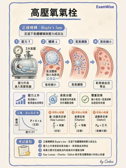 呼吸治療師 - 術後與其他呼吸重症 - AI 圖文解析預覽