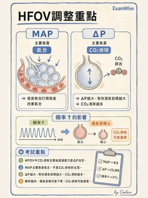 呼吸治療師 - 重症特殊處置 - AI 圖文解析預覽