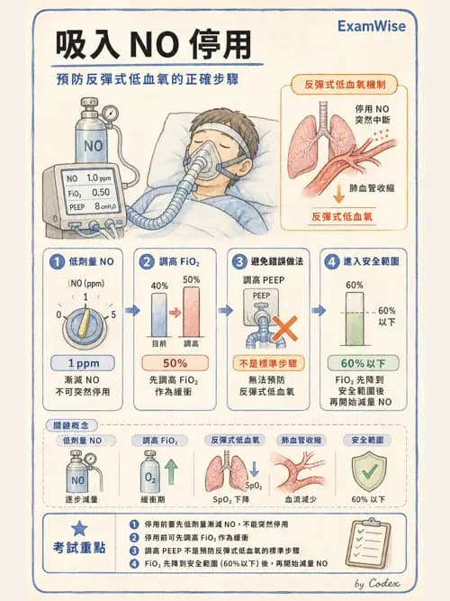 呼吸治療師 - 重症特殊處置 - AI 圖文解析預覽