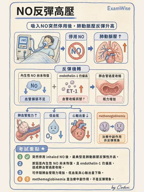 呼吸治療師 - 重症特殊處置 - AI 圖文解析預覽