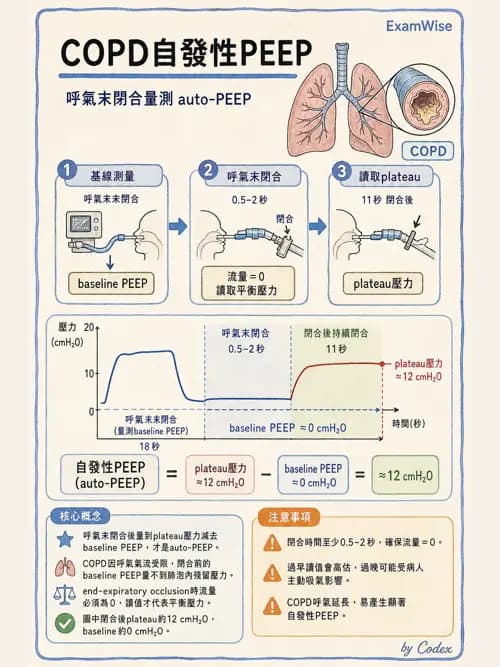 呼吸治療師 - 重症監測與判讀 - AI 圖文解析預覽