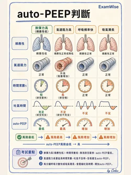 呼吸治療師 - 呼吸器併發症與感染 - AI 圖文解析預覽