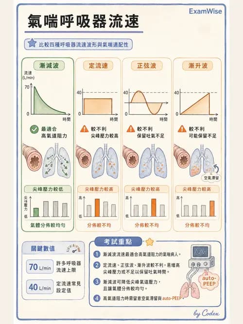 呼吸治療師 - 心臟疾病與COPD重症 - AI 圖文解析預覽