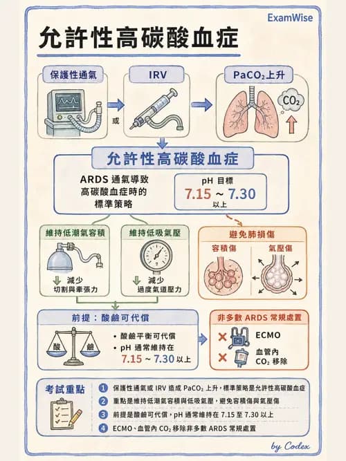 呼吸治療師 - ARDS與呼吸衰竭 - AI 圖文解析預覽