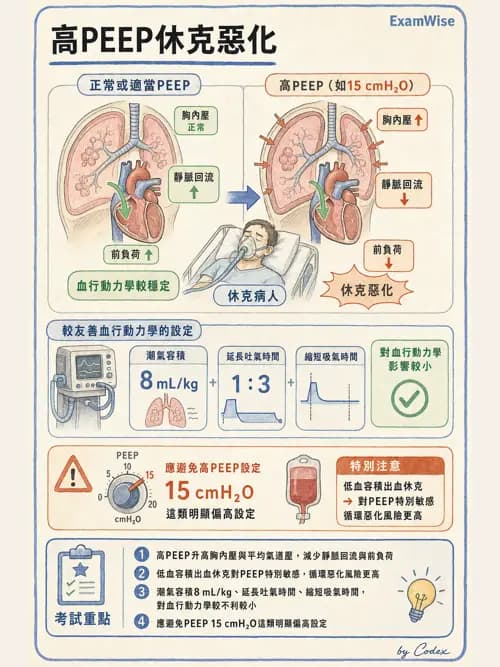 呼吸治療師 - 呼吸器併發症與感染 - AI 圖文解析預覽
