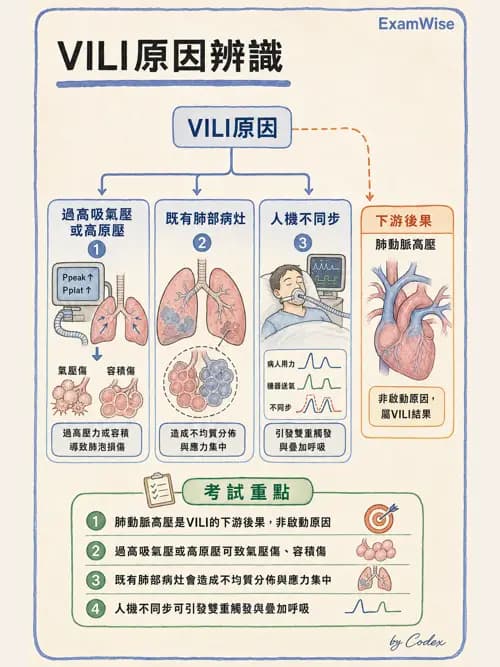 呼吸治療師 - 呼吸器併發症與感染 - AI 圖文解析預覽