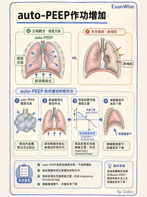 呼吸治療師 - 呼吸器併發症與感染 - AI 圖文解析預覽