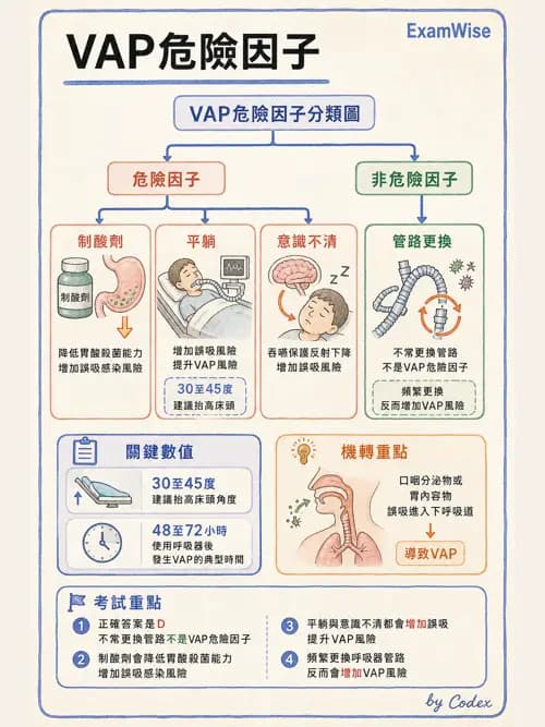 呼吸治療師 - 呼吸器併發症與感染 - AI 圖文解析預覽