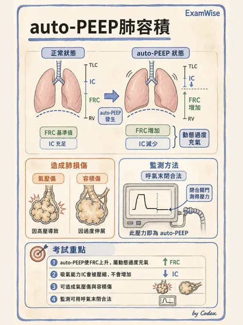 呼吸治療師 - 呼吸器併發症與感染 - AI 圖文解析預覽