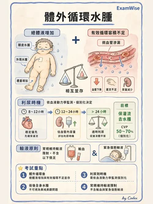 呼吸治療師 - 小兒相關重症 - AI 圖文解析預覽