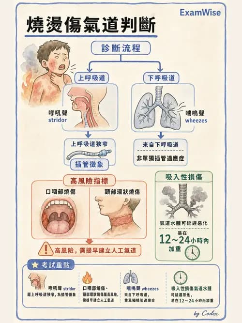 呼吸治療師 - 小兒相關重症 - AI 圖文解析預覽
