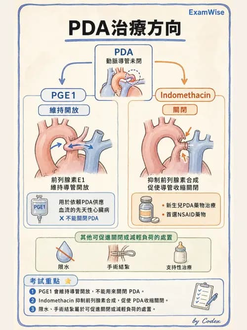 呼吸治療師 - 小兒相關重症 - AI 圖文解析預覽