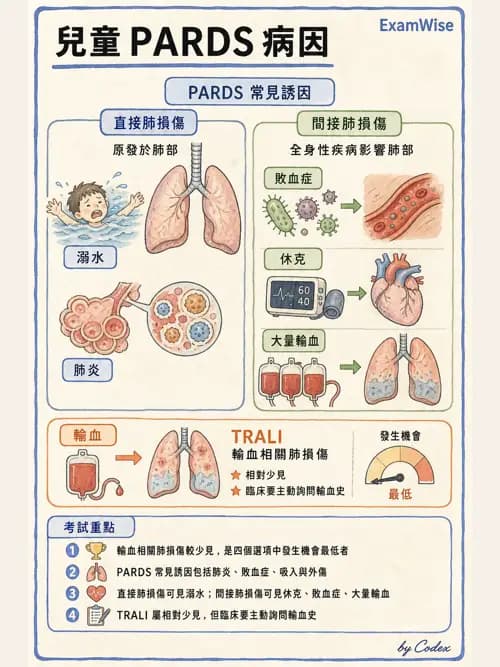 呼吸治療師 - 小兒相關重症 - AI 圖文解析預覽