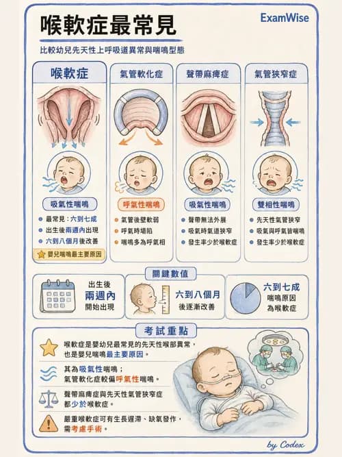 呼吸治療師 - 小兒相關重症 - AI 圖文解析預覽