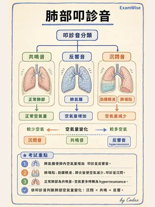 呼吸治療師 - 病人評估與衛教 - AI 圖文解析預覽