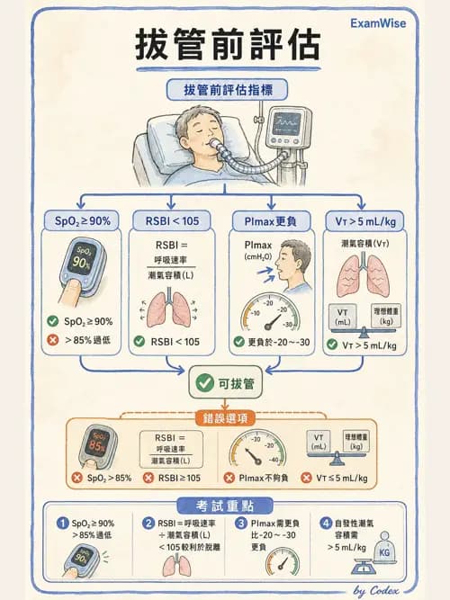 呼吸治療師 - 病人評估與衛教 - AI 圖文解析預覽