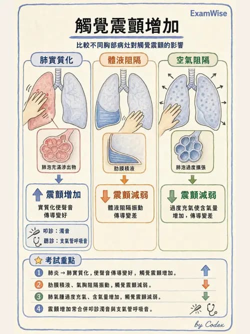 呼吸治療師 - 病人評估與衛教 - AI 圖文解析預覽