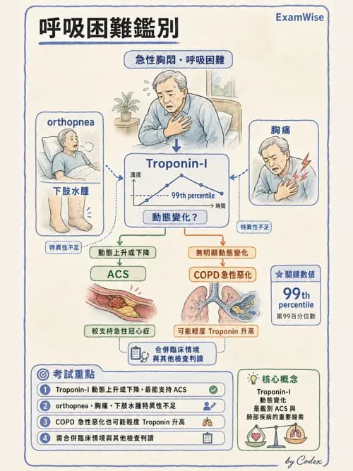 呼吸治療師 - 病人評估與衛教 - AI 圖文解析預覽