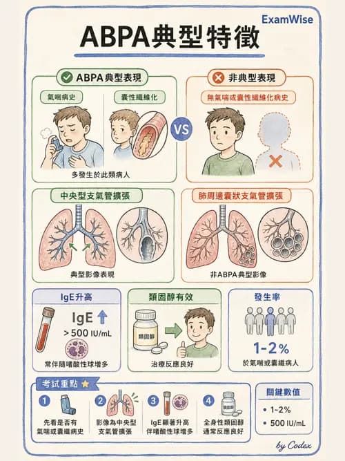 呼吸治療師 - 感染性肺疾 - AI 圖文解析預覽