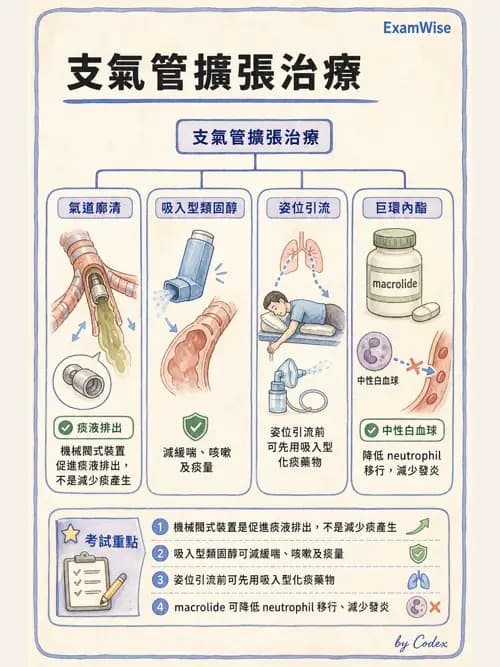 呼吸治療師 - 慢性氣道疾病 - AI 圖文解析預覽