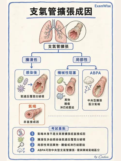 呼吸治療師 - 慢性氣道疾病 - AI 圖文解析預覽