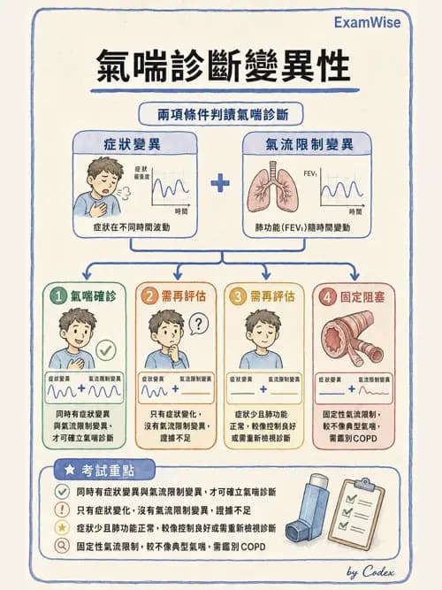 呼吸治療師 - 慢性氣道疾病 - AI 圖文解析預覽