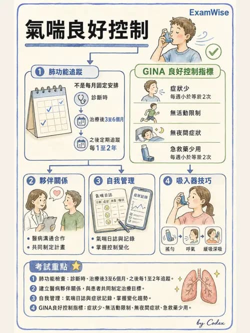 呼吸治療師 - 慢性氣道疾病 - AI 圖文解析預覽