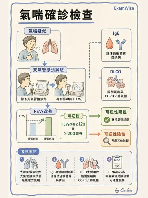 呼吸治療師 - 慢性氣道疾病 - AI 圖文解析預覽