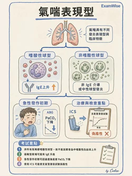 呼吸治療師 - 慢性氣道疾病 - AI 圖文解析預覽