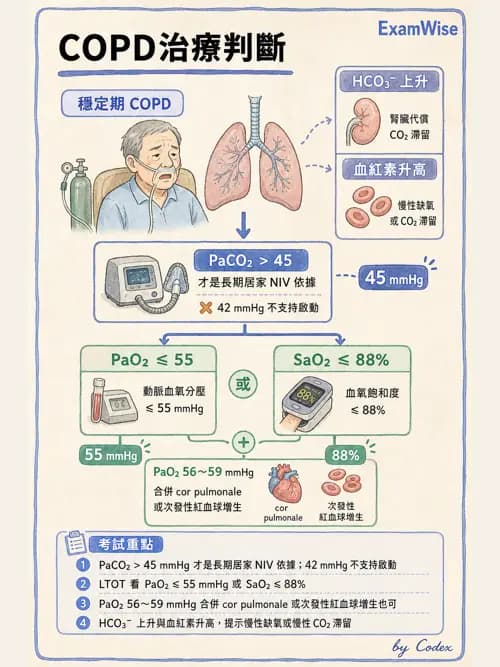 呼吸治療師 - 慢性氣道疾病 - AI 圖文解析預覽