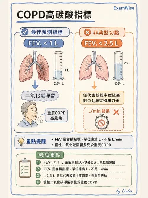 呼吸治療師 - 慢性氣道疾病 - AI 圖文解析預覽