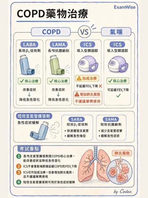 呼吸治療師 - 慢性氣道疾病 - AI 圖文解析預覽