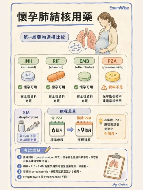 呼吸治療師 - 感染性肺疾 - AI 圖文解析預覽