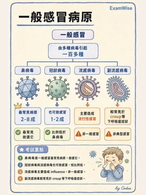 呼吸治療師 - 感染性肺疾 - AI 圖文解析預覽
