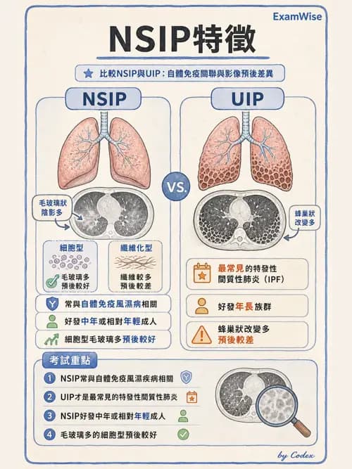 呼吸治療師 - 肺間質病變 - AI 圖文解析預覽