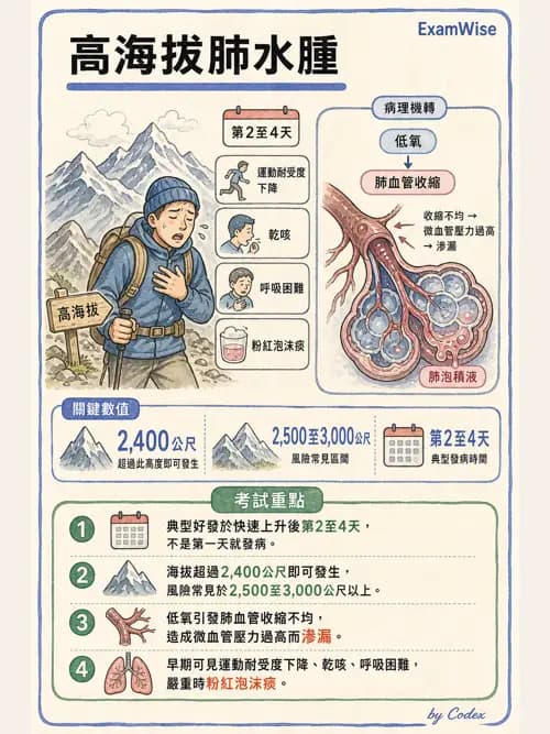 呼吸治療師 - 外力傷害與胸廓病變 - AI 圖文解析預覽
