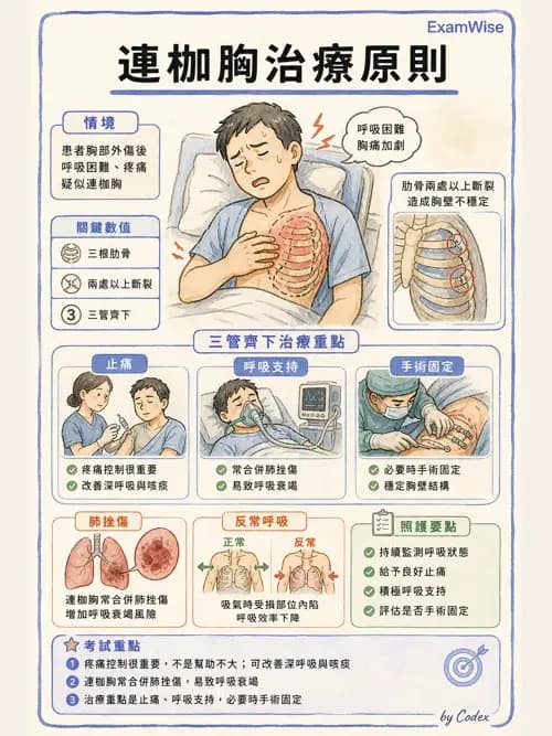 呼吸治療師 - 外力傷害與胸廓病變 - AI 圖文解析預覽