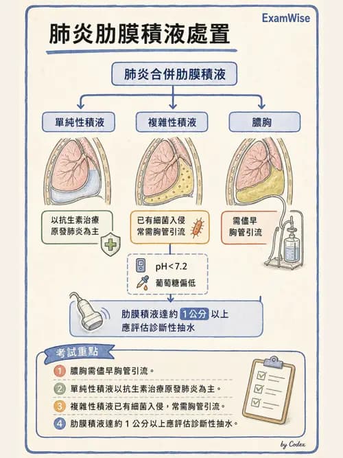 呼吸治療師 - 外力傷害與胸廓病變 - AI 圖文解析預覽