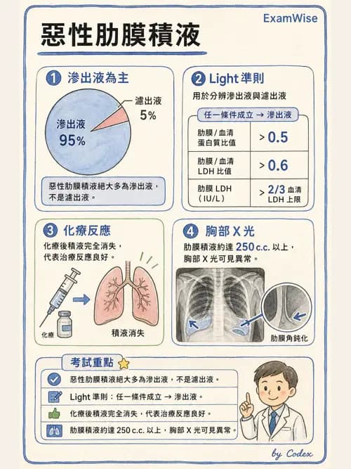 呼吸治療師 - 外力傷害與胸廓病變 - AI 圖文解析預覽