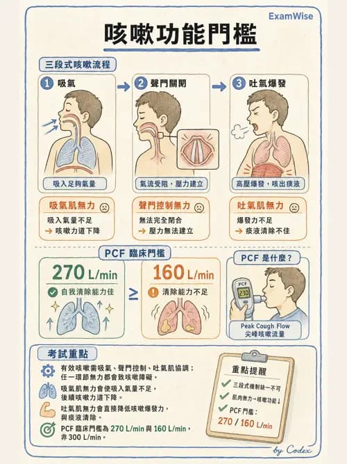 呼吸治療師 - 神經肌肉病變與腫瘤 - AI 圖文解析預覽