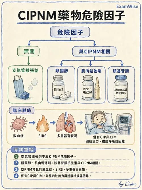 呼吸治療師 - 神經肌肉病變與腫瘤 - AI 圖文解析預覽