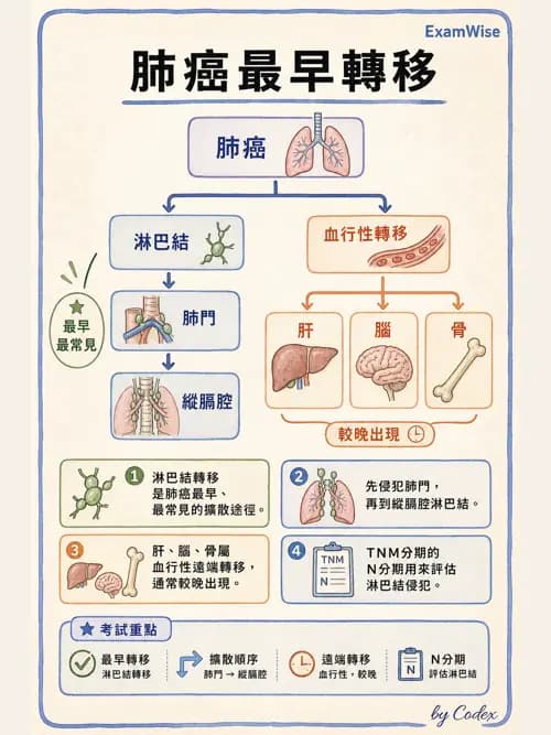 呼吸治療師 - 神經肌肉病變與腫瘤 - AI 圖文解析預覽