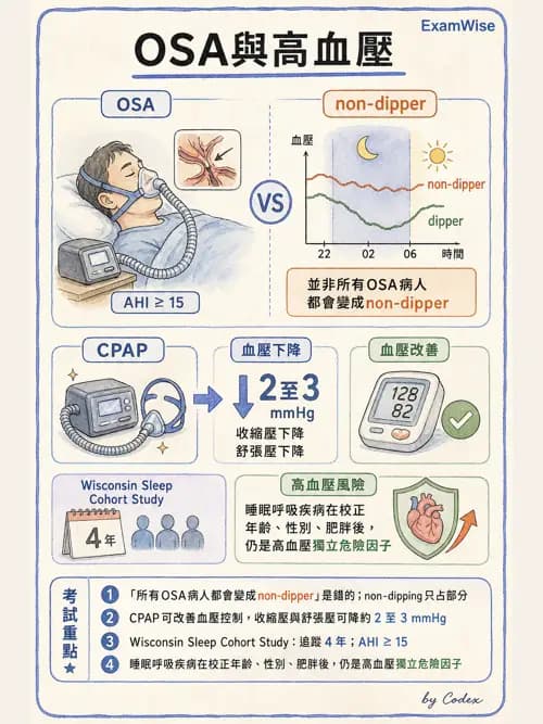 呼吸治療師 - 睡眠相關呼吸障礙 - AI 圖文解析預覽