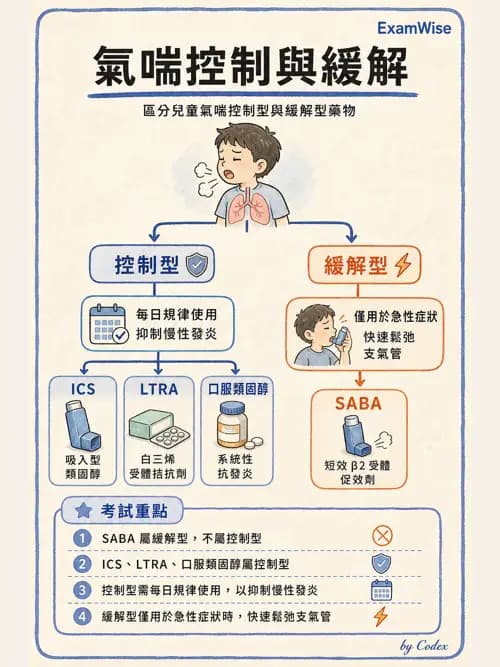 呼吸治療師 - 兒童呼吸系統疾病 - AI 圖文解析預覽