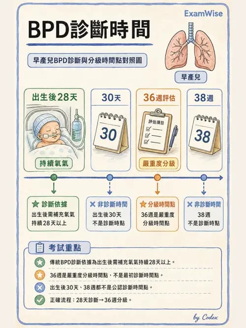 呼吸治療師 - 兒童呼吸系統疾病 - AI 圖文解析預覽