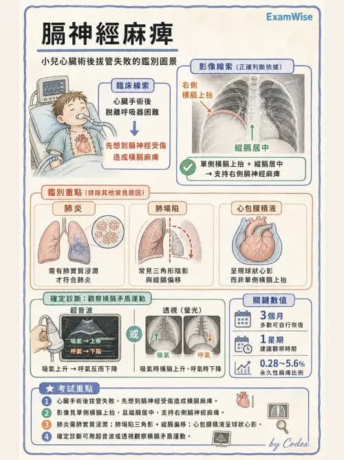呼吸治療師 - 兒童呼吸系統疾病 - AI 圖文解析預覽
