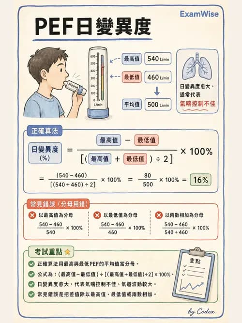 呼吸治療師 - 慢性氣道疾病 - AI 圖文解析預覽