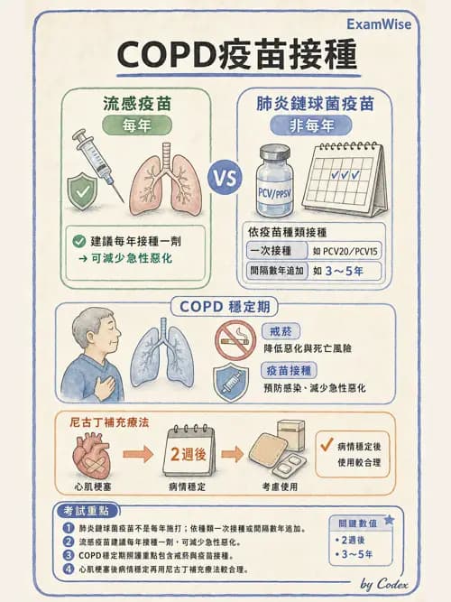 呼吸治療師 - 慢性氣道疾病 - AI 圖文解析預覽