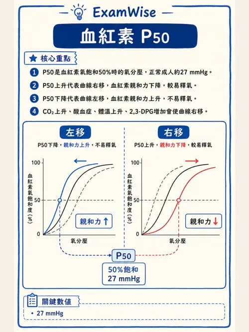 呼吸治療師 - 氣體擴散、交換與肺部代謝 - AI 圖文解析預覽