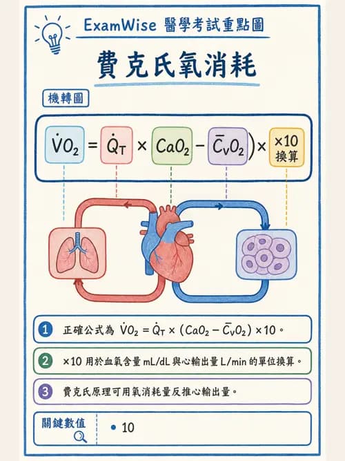 呼吸治療師 - 氣體擴散、交換與肺部代謝 - AI 圖文解析預覽